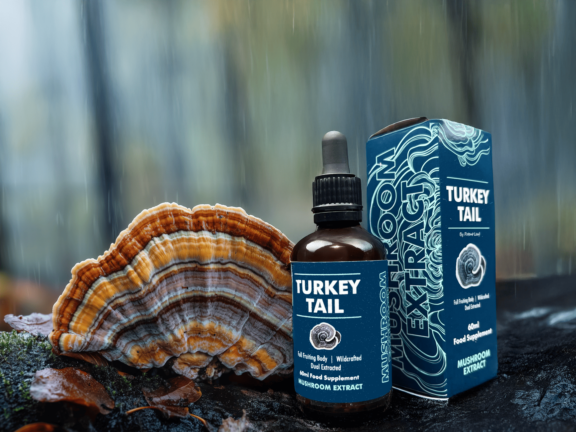 Turkey Tail Mushroom Extract Image Four