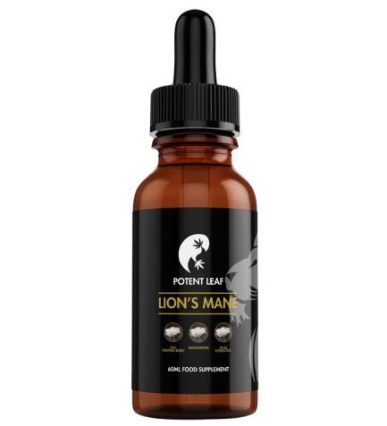 Organic Lion's Mane Liquid Extract (Dual Extraction)