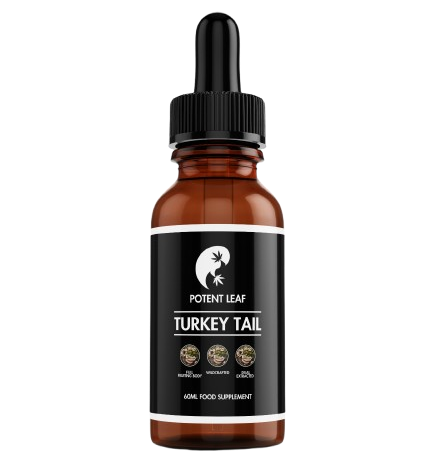 Premium Turkey Tail Mushroom Liquid Extract (Dual Extraction)